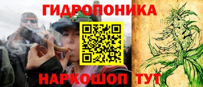 ПСИЛОЦИБИНОВЫЕ ГРИБЫ Будённовск