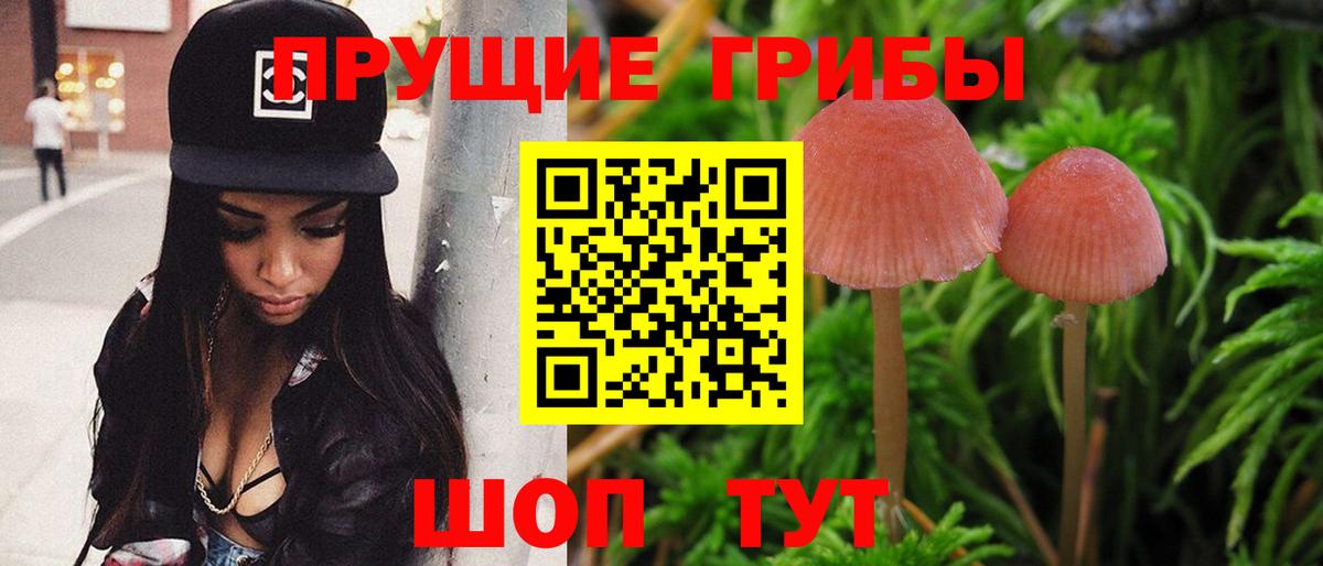 Галлюциногенные грибы мицелий Шуя